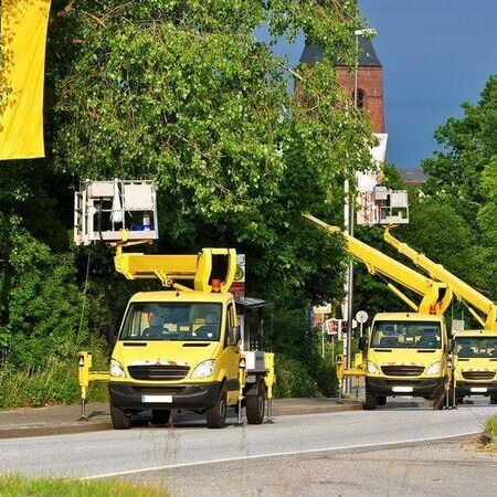 Drei gelbe LKW-Arbeitsbühnen stehen auf der Straße, im Hintergrund sind Bäume sichtbar